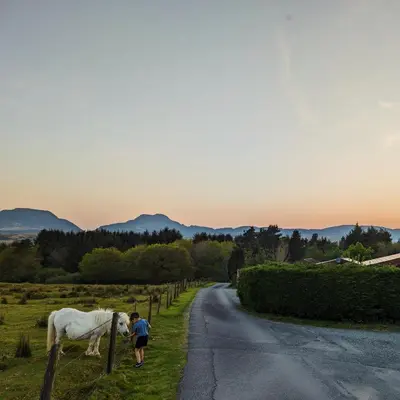 a person walking a white horse on the side of a road at Thistledonia in Trawsfynydd