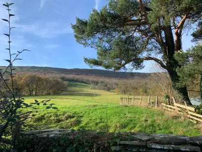 a green field with a tree and a fence at White Haywood Barn in Hereford