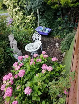 a garden with a white table and pink flowers at Spyder Ranch in Trawsfynydd