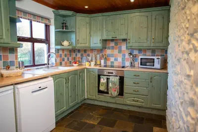 a green kitchen with green cabinets and a microwave at Tan-yr-Onnen Llangrannog in New Quay