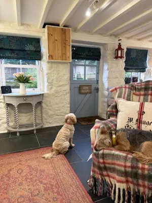 a living room with two dogs sitting on a couch at Little Cottage, Llwyngwril in Llwyngwril