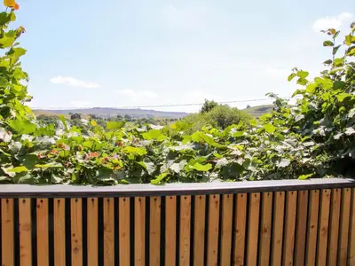 a garden with flowers on a wooden deck at Stiper View Barn 2 in Shrewsbury