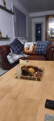 a tray of rocks on a table in a living room at Conkers Cottage in Forden