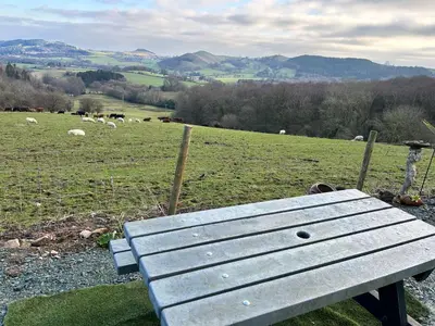 a wooden bench sitting on top of a field with sheep at Carol Anns Caravan, Working Farm Stay, Rural, Private, Fire Pit for hire, Dogs on request in Pontesbury