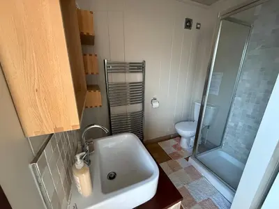 a bathroom with a sink and a shower and a toilet at Charming 2 bedroom Lodge In the Shropshire Countryside with Fantastic Views in Clunton