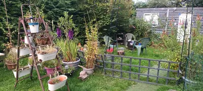 a garden with potted plants and a fence at Robins nest in Great Hanwood