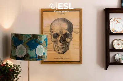 a picture of a skull on a wall at 2 Bed Townhouse with Garden & Parking in Shrewsbury