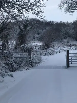 a snow covered path in a field with a fence at Detached cottage in the hills near Dolgellau in Cross Foxes