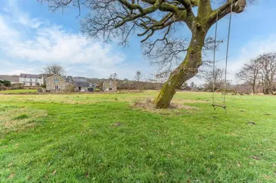 a tree in a field with a swing at 1 Bed in Drefach oc-m30848 in Llanwenog