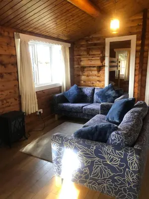 a living room with two couches in a log cabin at Misty Mountain Log Cabin - Trawsfynydd in Trawsfynydd