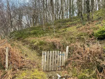 a wooden gate on the side of a hill at The Cabin In The Woods - Uk49023 in Pencarreg