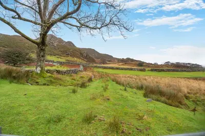 a tree in a field with mountains in the background at Beautiful Remote Cottage near Dolgellau in Penmaen Pool