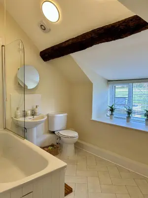 a bathroom with a toilet and a sink and a tub at Tower Farm Holidays in Llangollen