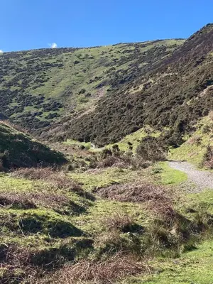 a hillside with a stream in the middle of a field at Broughshane in Church Stretton