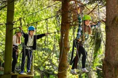 three children on a ropes course in the forest at 2 Bed in Llangorse oc-t30290 in Llangorse