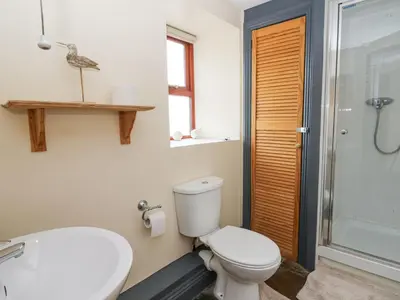 a bathroom with a toilet and a sink and a shower at Llwyngwinau Isaf Barn in Tregaron