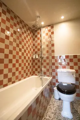 a bathroom with a toilet and a bath tub at Y Castell in Llangadog