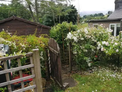 a garden with a wooden fence and flowers at Cosy cottage in Snowdonia hamlet in Frongoch