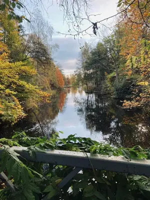 a view of a river in the fall at North Cottage in Berriew