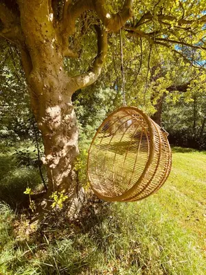 a basket hanging from a tree next to a tree at North Cottage in Berriew