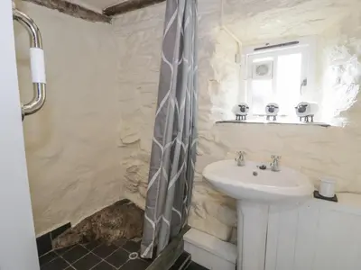 a bathroom with a sink and a shower at Old Ty'n Y Wern in Bala
