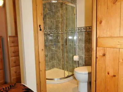 a bathroom with a shower and a toilet at Llaethdy Rachel Lampeter in Aberaeron