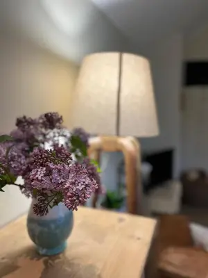 a vase of purple flowers on a table with a lamp at Peaceful Dyfi Valley Cottage - Hendre-gau in Machynlleth