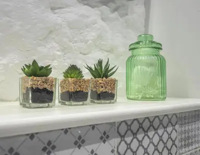 four potted plants on a shelf with a glass jar at Ceirios Wen Aberaeron in Llanarth