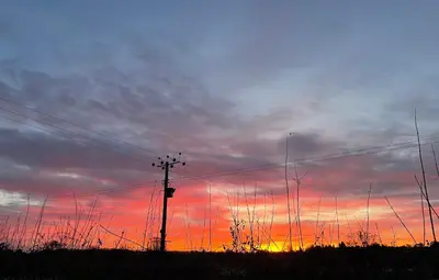 a sunset with a telephone pole and power lines at Cosy Cottage in Kington