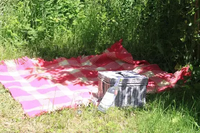 a picnic blanket and a basket on the grass at The Charcoal Hut woodland retreat in Llandovery