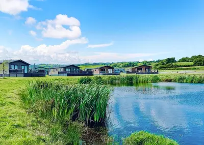 a river in front of some houses and grass at Meadow Springs Country & Leisure Park in Caersws