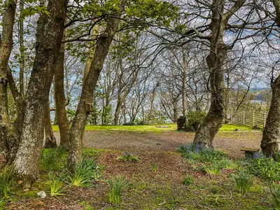a group of trees in a park with a fence at Bron-Yr-Aur - Uk49616 in New Quay