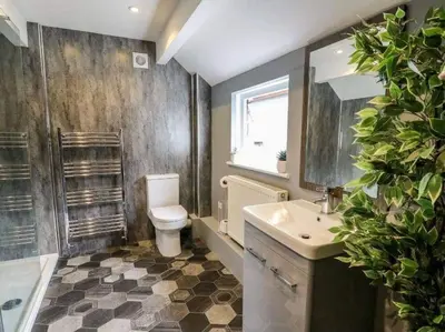 a bathroom with a toilet and a sink and a shower at Beautiful cottage with log burner in Dolgellau