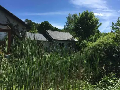 an old house with tall grass in front of it at Cysgod Bach & Caban y Saer Cottages in Bala