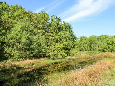 a river in a field with trees in the background at Cae'n Y Coed Barn in Talsarnau