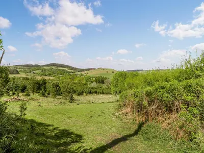 a grassy field with trees and hills in the background at 3 Legged Duck Cottage in Yspytty-Ystwyth