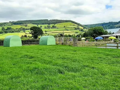 a field of green grass with umbrellas and a fence at Green Dragon and Kitchen Pod - Sleeps 2 & Parking in Welshpool