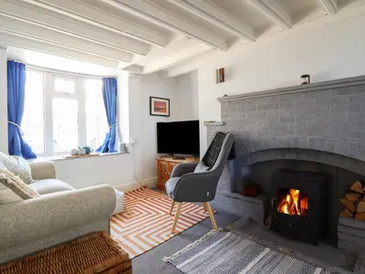 a living room with a fireplace and a couch at Glan Y Mor Borth in Aberystwyth