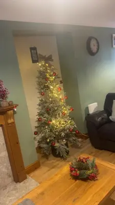 a christmas tree in the corner of a living room at Llwyn Celyn 2 bedroom in Bala