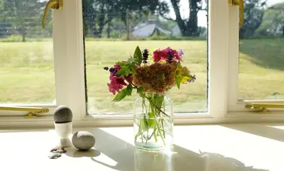 a vase filled with flowers sitting on a window sill at Pretty barn conversion in seaside village in Llansantffraid