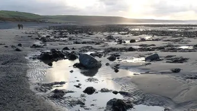 a beach with rocks and water on the sand at Pretty barn conversion in seaside village in Llansantffraid