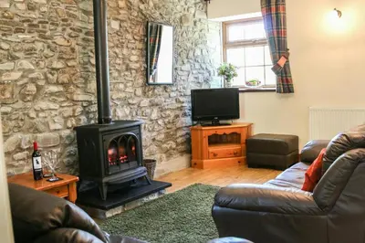 a living room with a stone wall and a wood stove at Y Dderwen Aberaeron in Llanarth