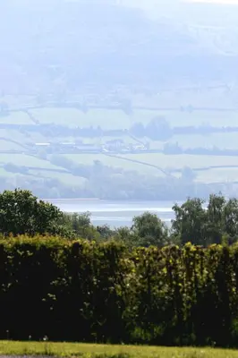 a view of a field and a lake from a hedge at Oak Moor Shepherd Hut - Brecon Beacons, LD3 7TD in Tal-y-llyn