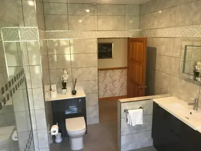 a bathroom with a toilet and a sink at Heulwen Guest House in Dolgellau