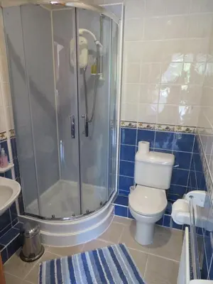 a bathroom with a shower and a toilet and a sink at Heulwen Guest House in Dolgellau