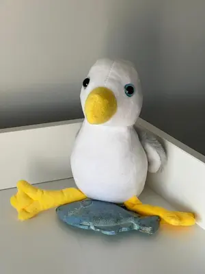 a stuffed penguin is sitting on a table at Ynyslas View in Aberdyfi