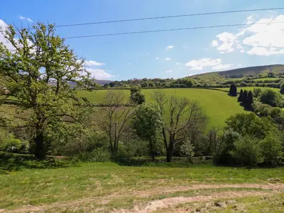 a field of green grass with trees in the foreground at The Owlet in Llanidloes