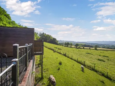 a fence with sheep grazing in a field at Luna Holiday Pod - Uk48590 in Church Stretton
