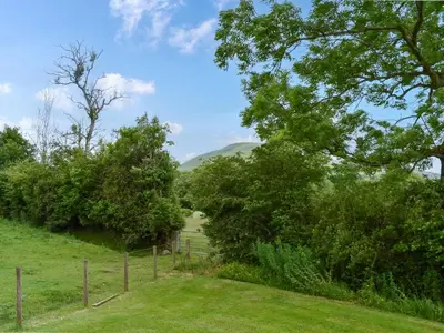 a view of a field with trees and a fence at Tilly - Uk49798 in Brecon