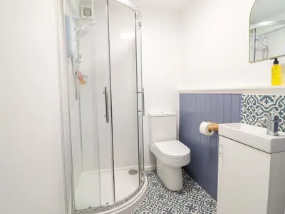 a bathroom with a shower and a toilet and a sink at Upper Dolarddyn in Welshpool